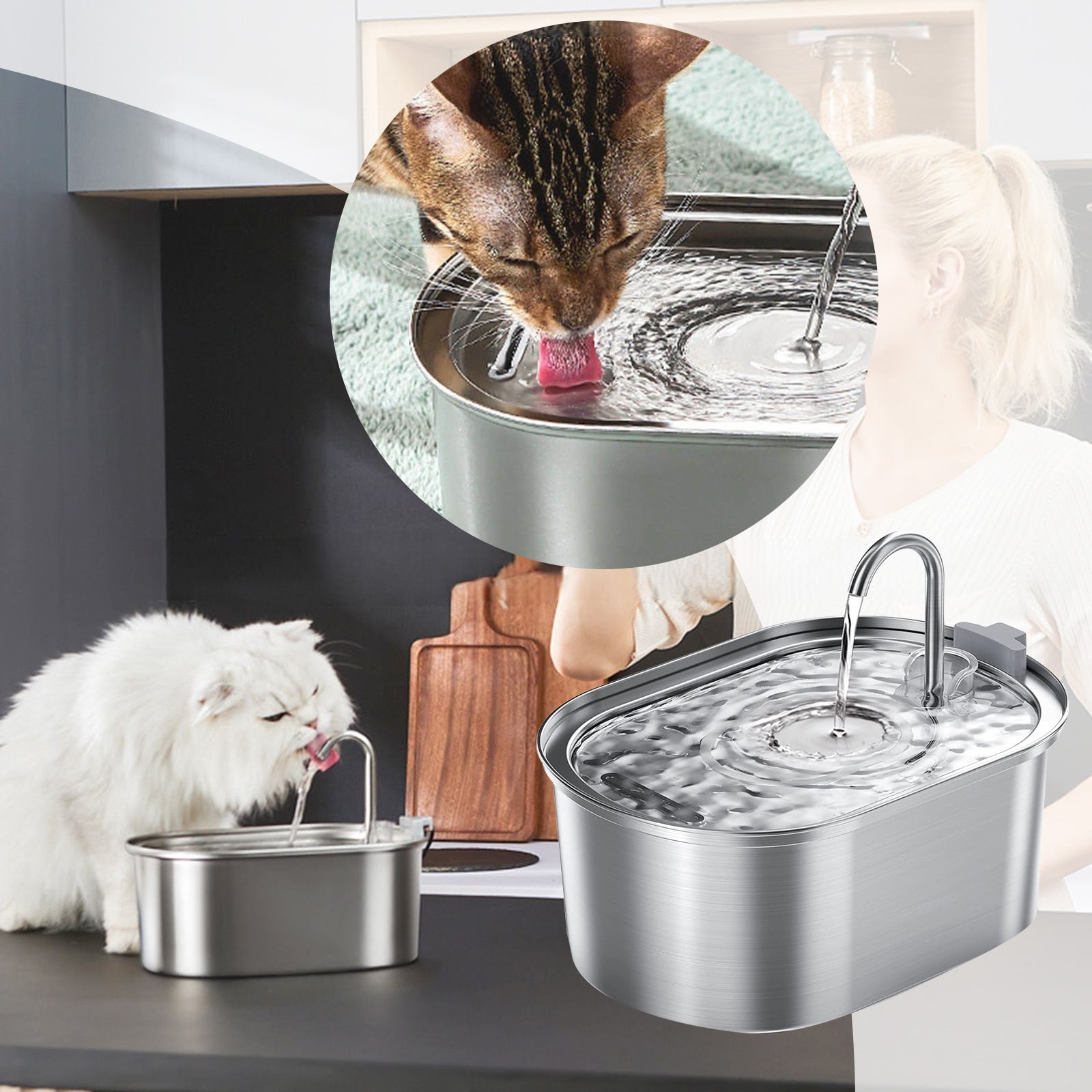 LUODU Pet Bowls Cat Kennel Water Metal Dog Bowl with Timer Cat Feeder ...