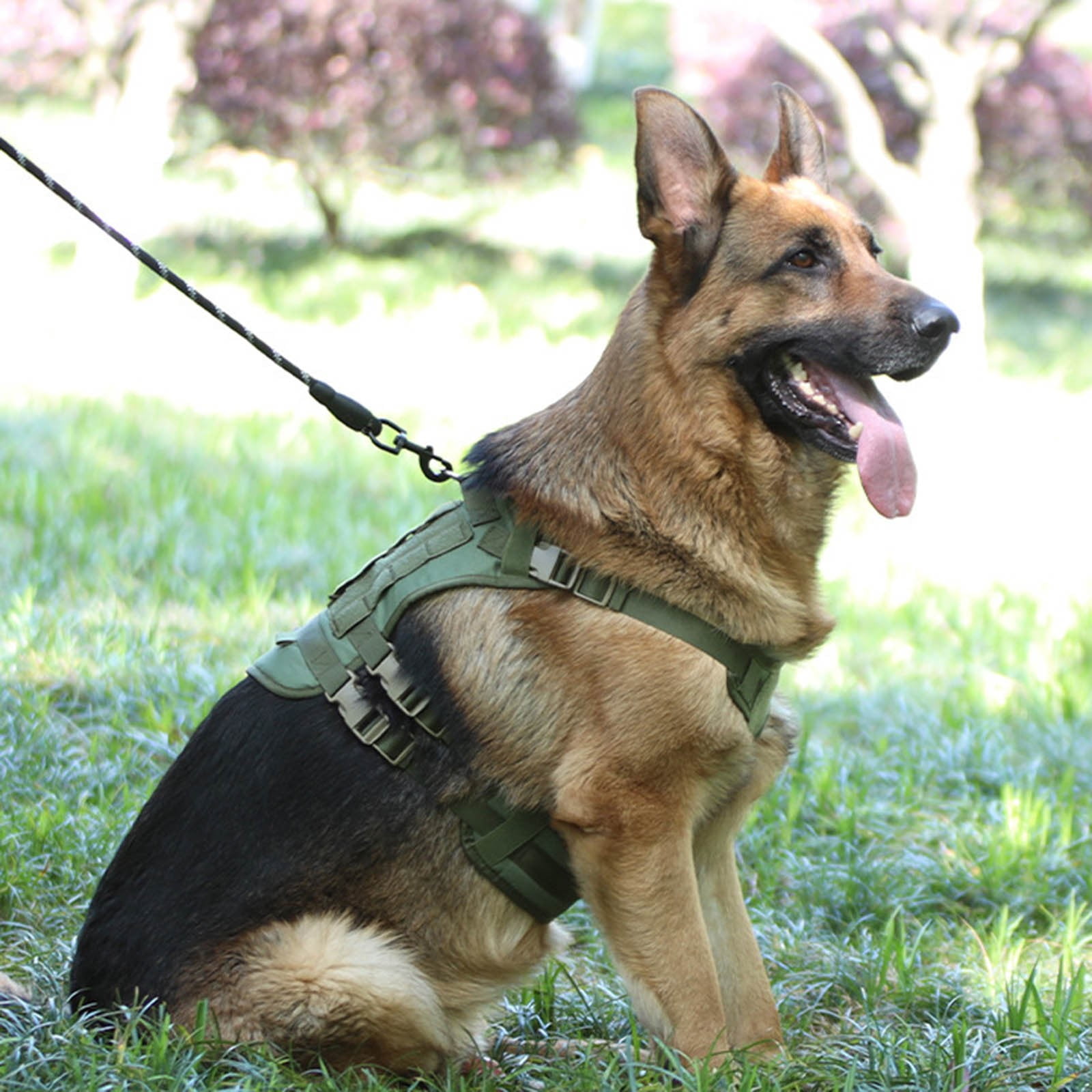 LUODU Small Puppy Sweater Boy Light Dog Bed Small Dog Back Brace for