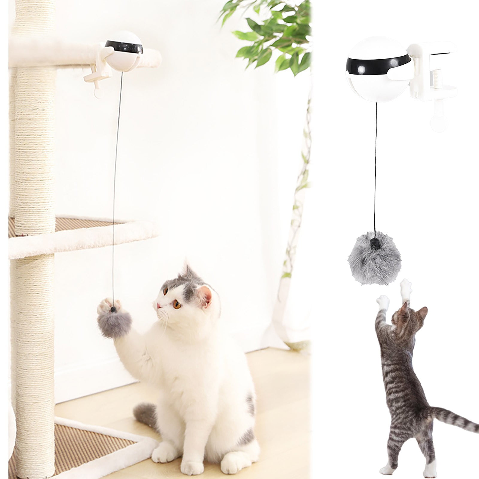 LUODU Valentine Cat Dog Maze Bowl Busy for Dogs Cat Wheel Treadmill