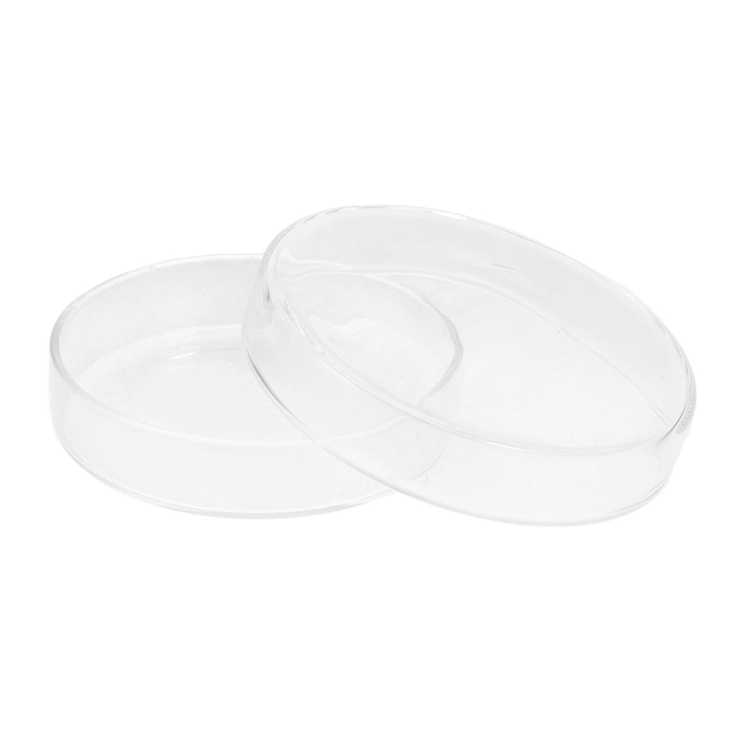Avogadro's Lab Supply 60mm Petri Culture Dish – 2.5 Inch, Sterile Grade
