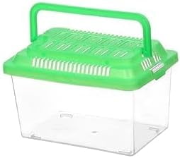 Beautiful view of Hamster Proof Tortoise Tank Toys