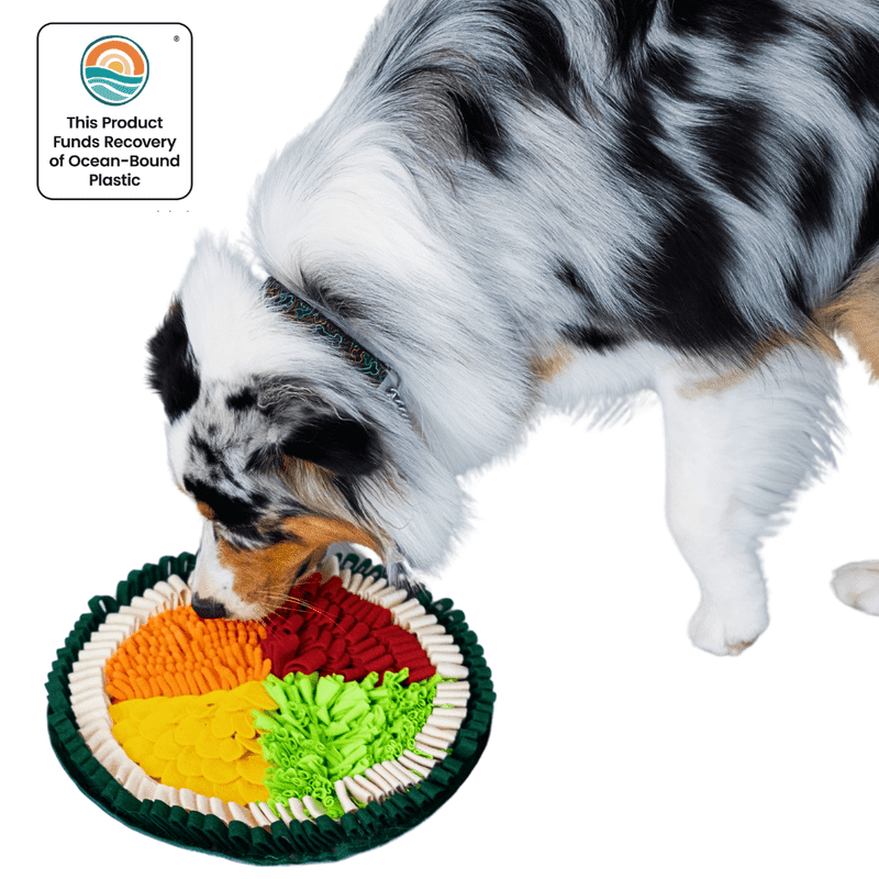 LUVMYFIDO Sushi Enrichment Foraging Snuffle Mat for Dogs, Dog Puzzle Toy, Slow Feeding Mat