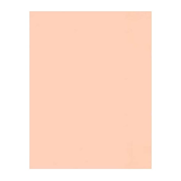 LUX Colored Paper 32 lbs. 8.5" x 11" Blush 250 Sheets/Pack (81211-P-114-250)