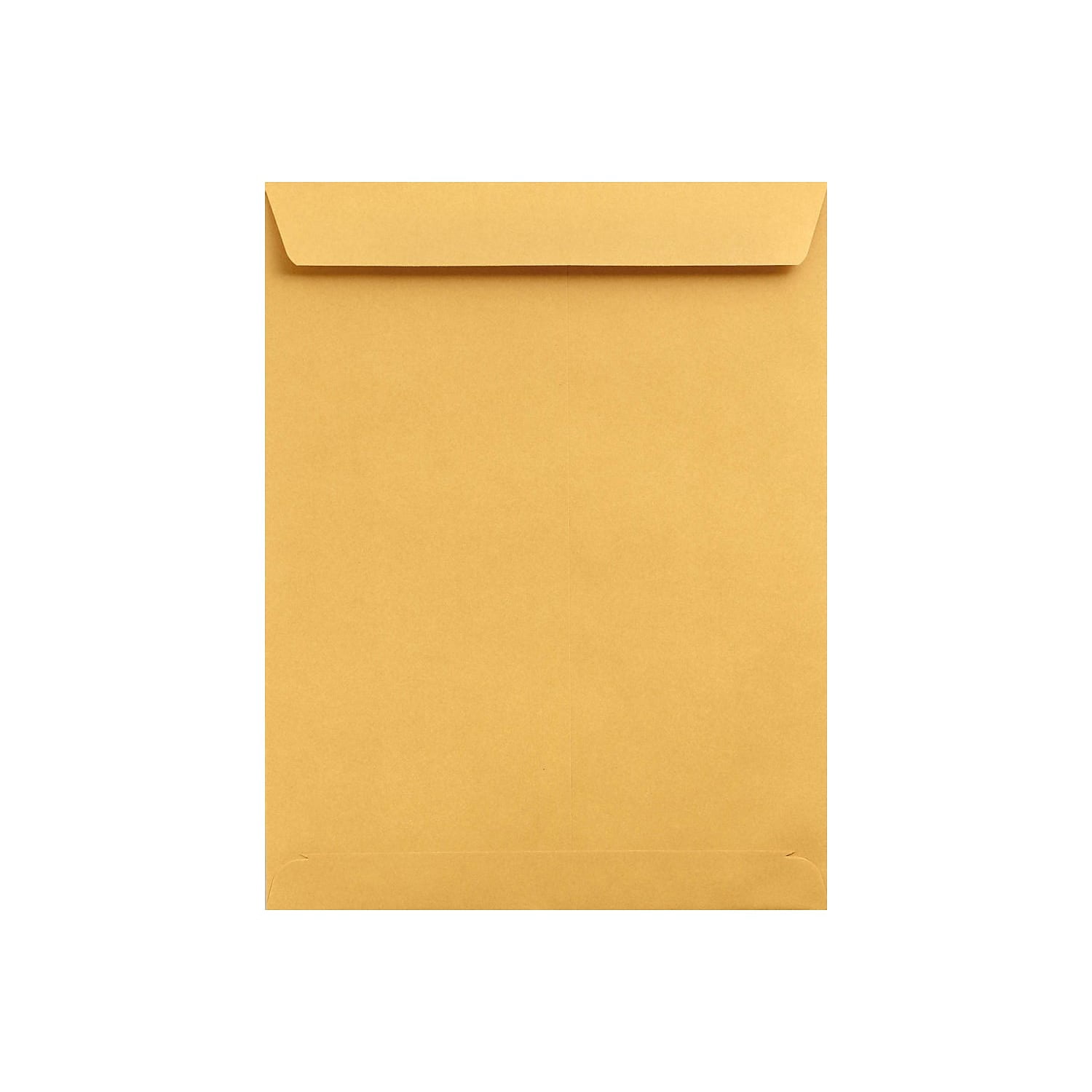 LUX Jumbo Envelopes 13