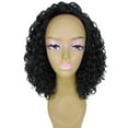 thumbnail image 1 of LUXLUXE Ada Curly 17.5 Inch Long 13x2.5 Hand-Tied Lace Front Wig, Great Heat Resistant Fiber, 20+ Shades of Natural, Dip Dyed, & Blended Colors (#1 - Black), 1 of 8