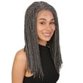 thumbnail image 1 of LUXLUXE Angela 16.5" HD Lace Front Braided Wig with Baby Hair, Heat Resistant Fibers, Black and Grey blend Colors, 1 of 8