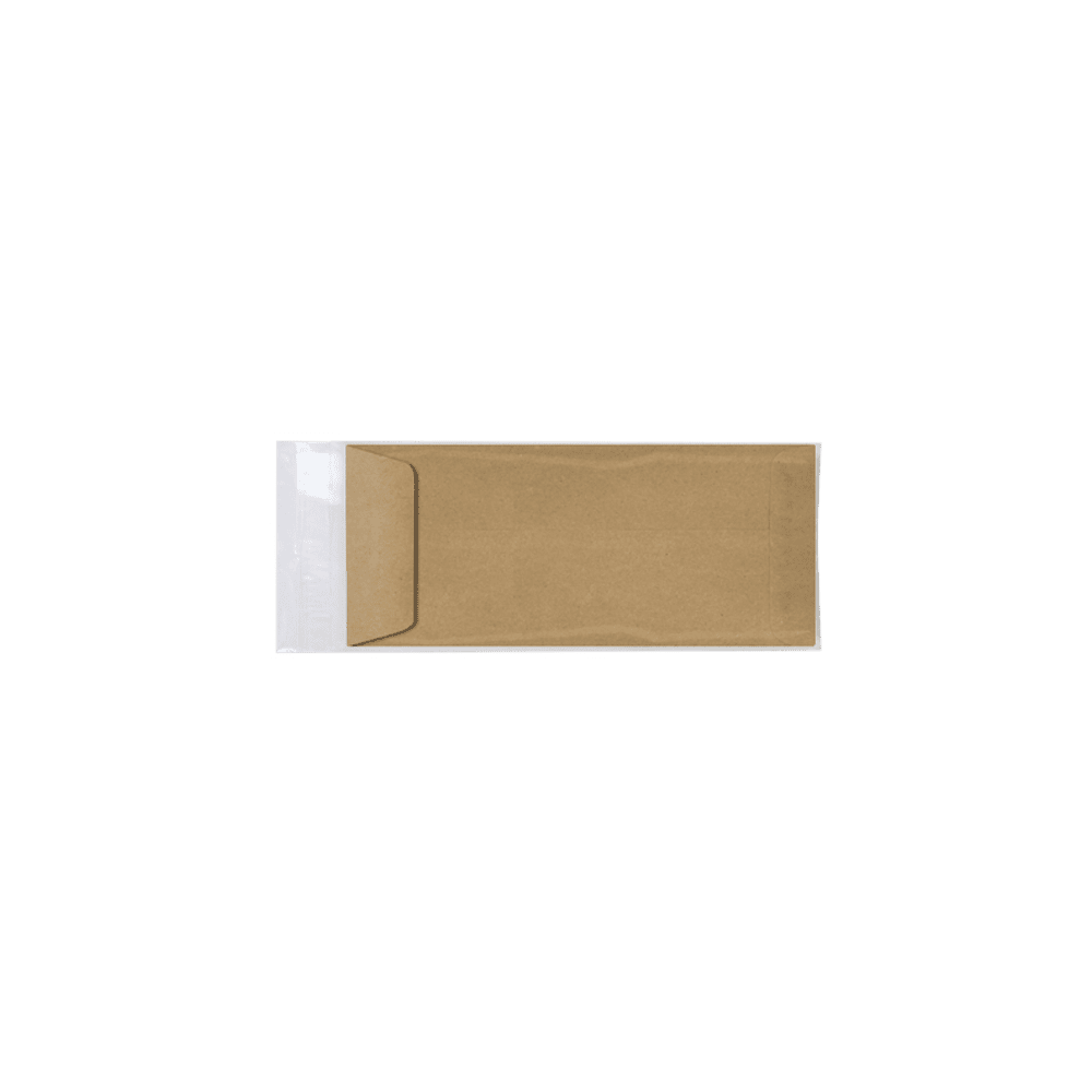 LUXPaper #10 Open End Cello Envelopes, 4 5/16 x 9 9/16, Clear, 100/Pack