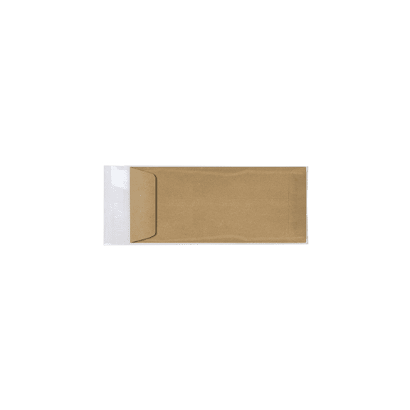 LUXPaper #10 Open End Cello Envelopes, 4 5/16 x 9 9/16, Clear, 100/Pack