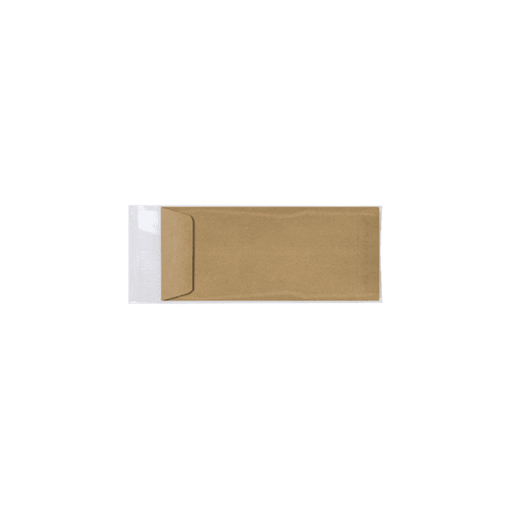 LUXPaper #10 Open End Cello Envelopes, 4 5/16 x 9 9/16, Clear, 200/Pack