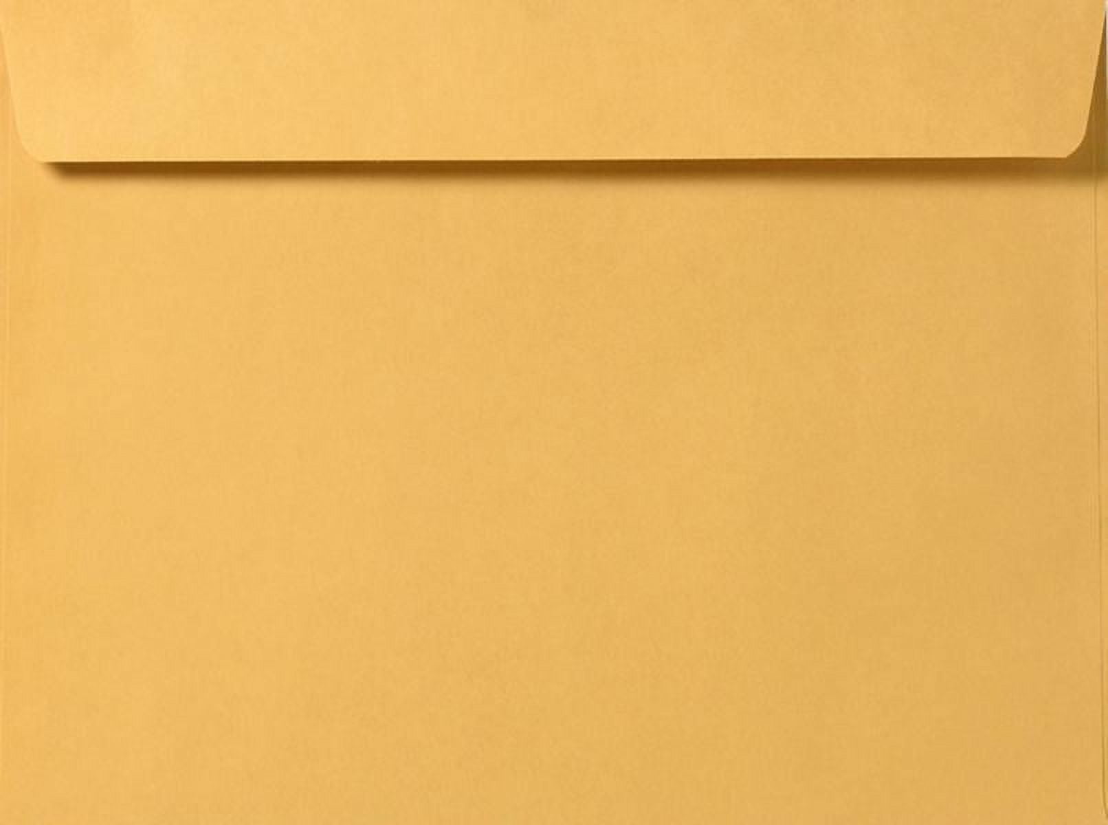 LUXPaper 10 x 13 Booklet Envelopes, Brown Kraft, 250/Pack