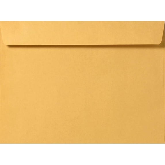 LUXPaper 10 x 13 Booklet Envelopes, Brown Kraft, 50/Pack