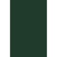 thumbnail image 1 of LUXPaper 100lb. Cardstock, 11 x 17, Green Linen, 250/Pack, 1 of 1