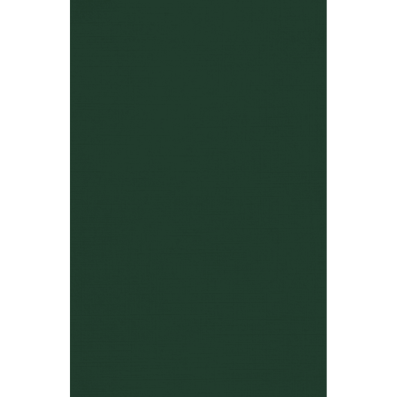 LUXPaper 100lb. Cardstock, 11 x 17, Green Linen, 250/Pack