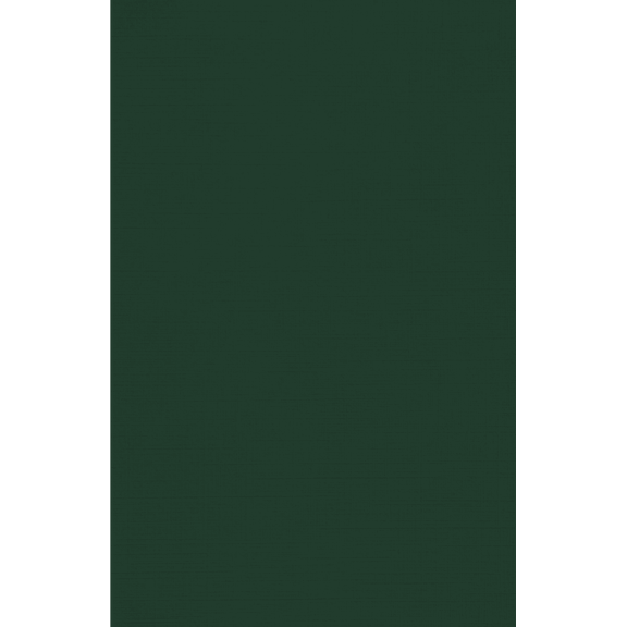 LUXPaper 100lb. Cardstock, 11 x 17, Green Linen, 50/Pack