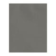 thumbnail image 1 of LUXPaper 100lb. Cardstock, 11 x 17, Smoke, 500/Pack, 1 of 1