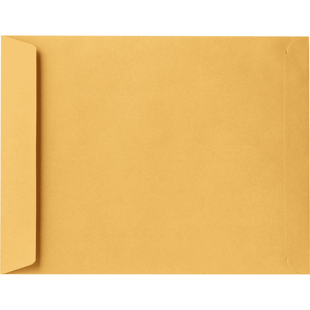 LUXPaper 11 1/2 x 14 1/2 Open End Envelopes, Brown Kraft, 250/Pack