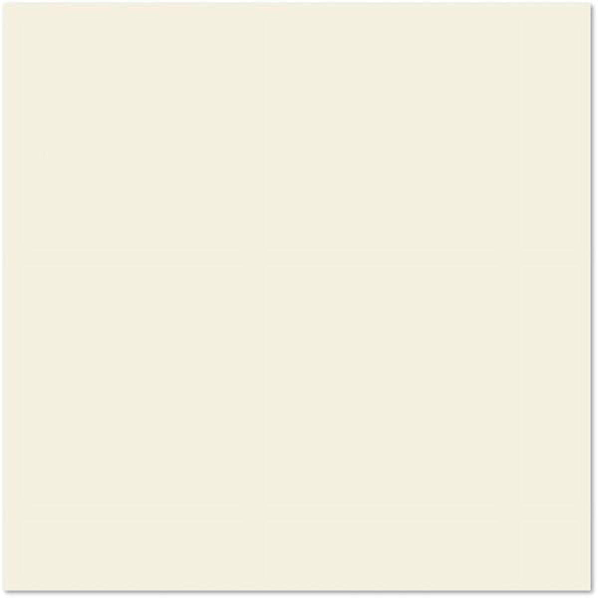 LUXPaper 12 x 12 Cardstock, 100lb Natural, 250/Pack