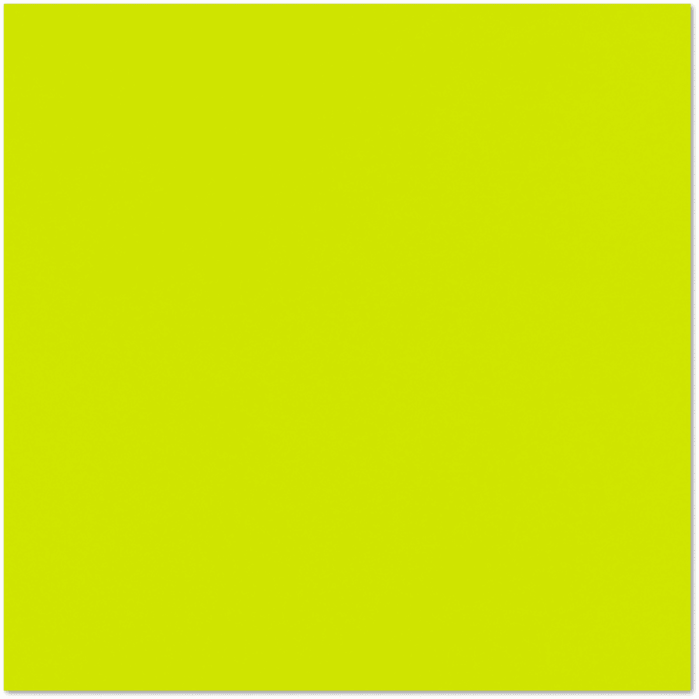 LUXPaper 12 x 12 Cardstock, 100lb Wasabi, 250/Pack