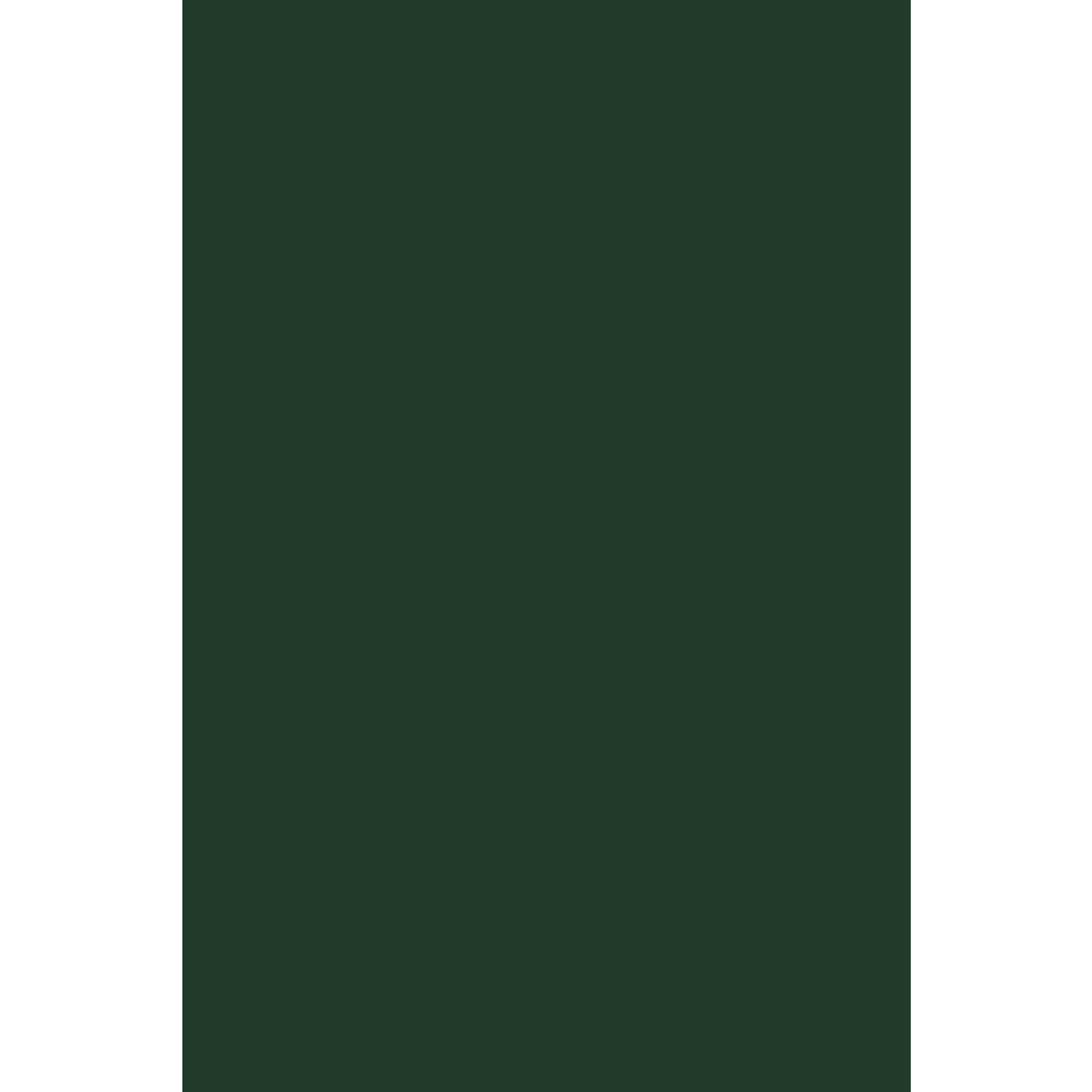 LUXPaper 12 x 18 Cardstock, 100lb Green Linen, 50/Pack