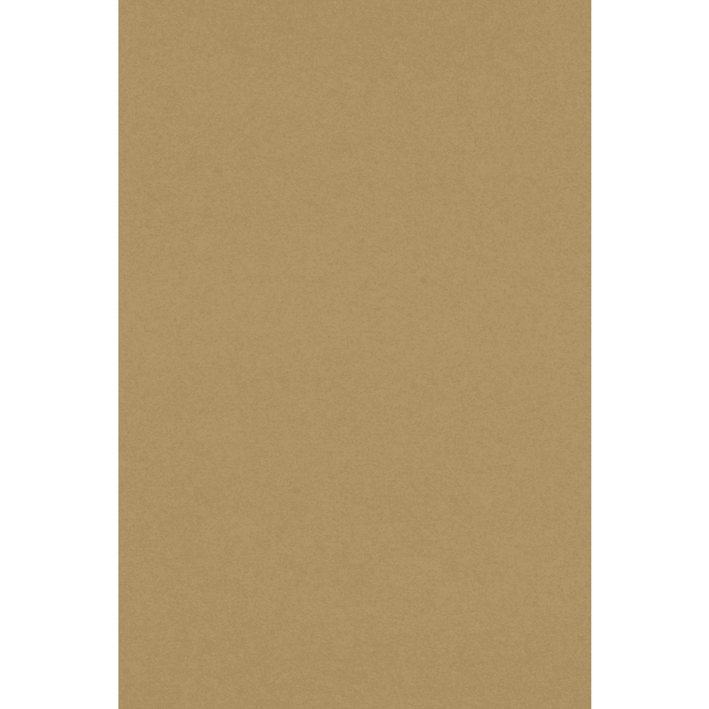 LUXPaper 12 x 18 Paper, 70lb Grocery Bag Brown, 50/Pack - Walmart.com