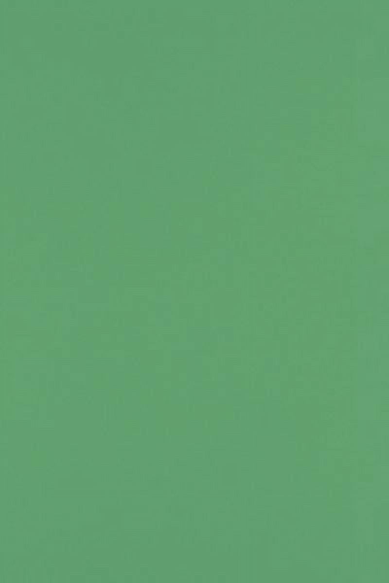 LUXPaper 12 x 18 Paper, 80lb Holiday Green, 50/Pack