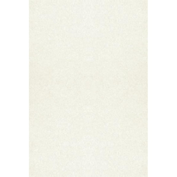 LUXPaper 12 x 18 Paper, 80lb Quartz Metallic, 50/Pack