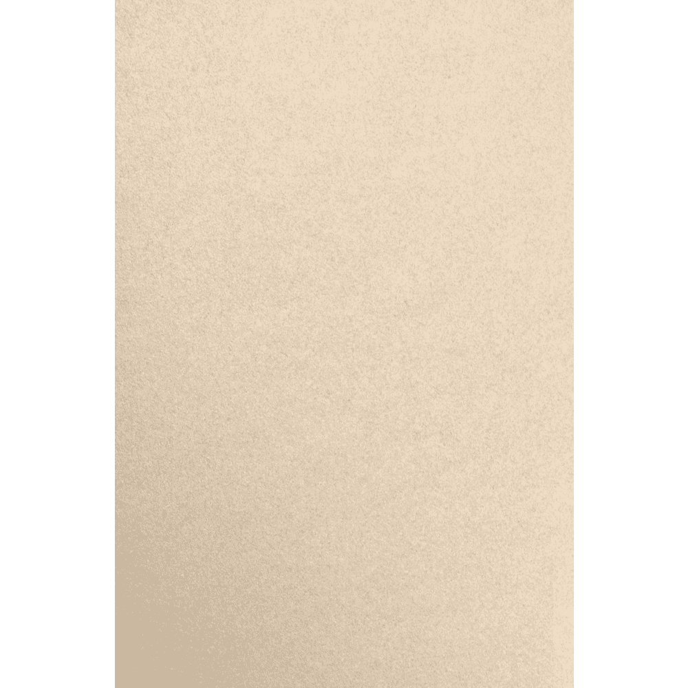 LUXPaper 12 x 18 Paper, 80lb Taupe Metallic, 50/Pack