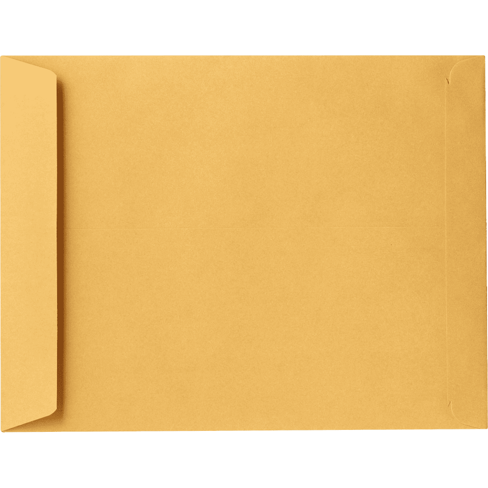 LUXPaper 13 x 17 Jumbo Envelopes, Brown Kraft, 250/Pack