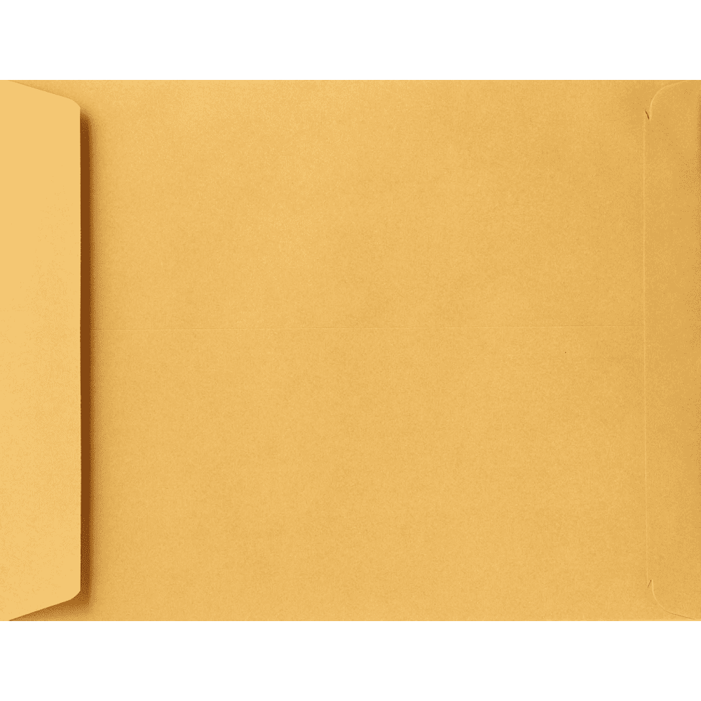 LUXPaper 13 x 19 Jumbo Envelopes, Brown Kraft, 250/Pack