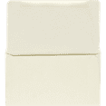 thumbnail image 1 of LUXPaper 6 1/4 Remittance Envelopes, Cream, 3 1/2 x 6, 250/Pack, 1 of 1