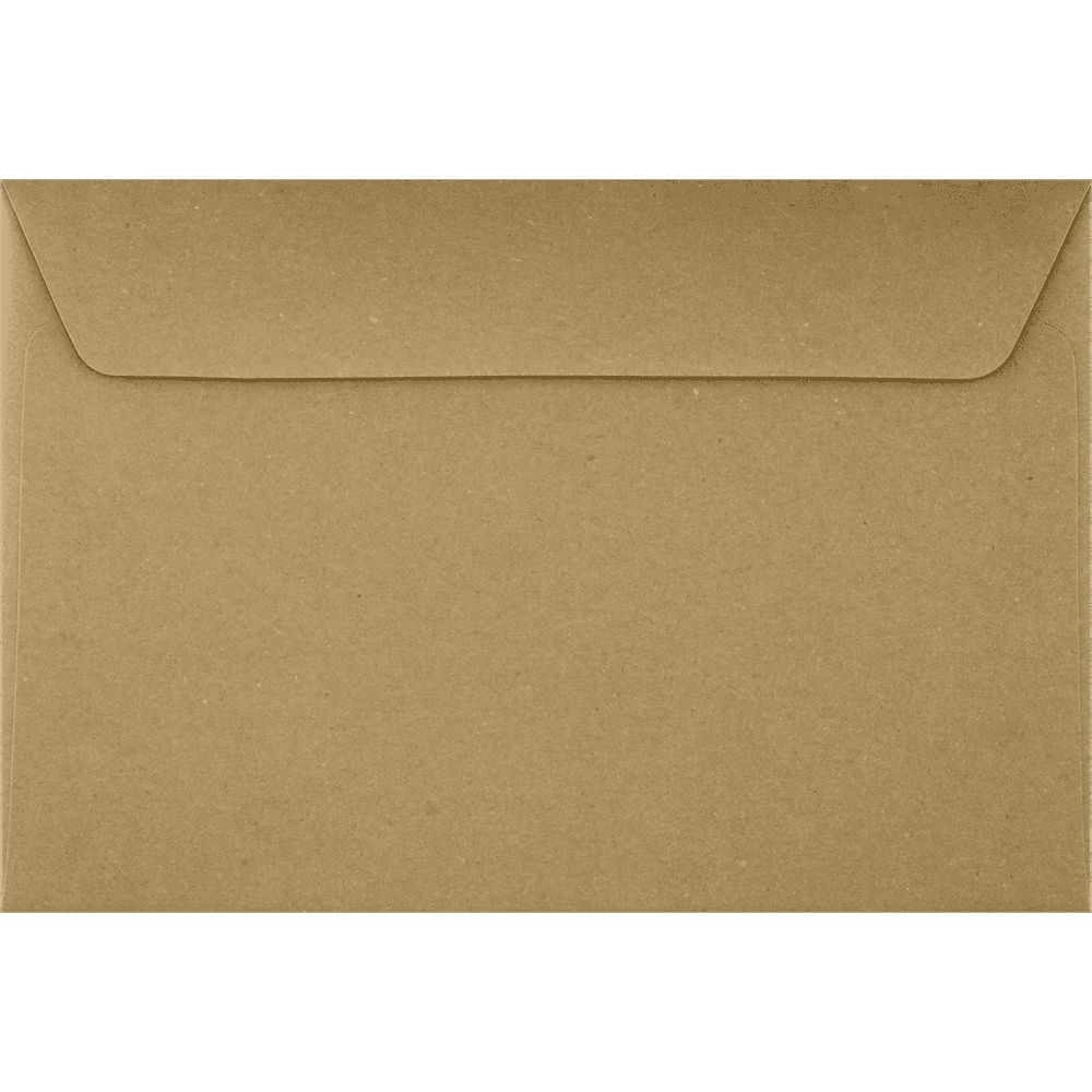 LUXPaper 6 x 9 Booklet Envelopes, Grocery Bag, 50/Pack