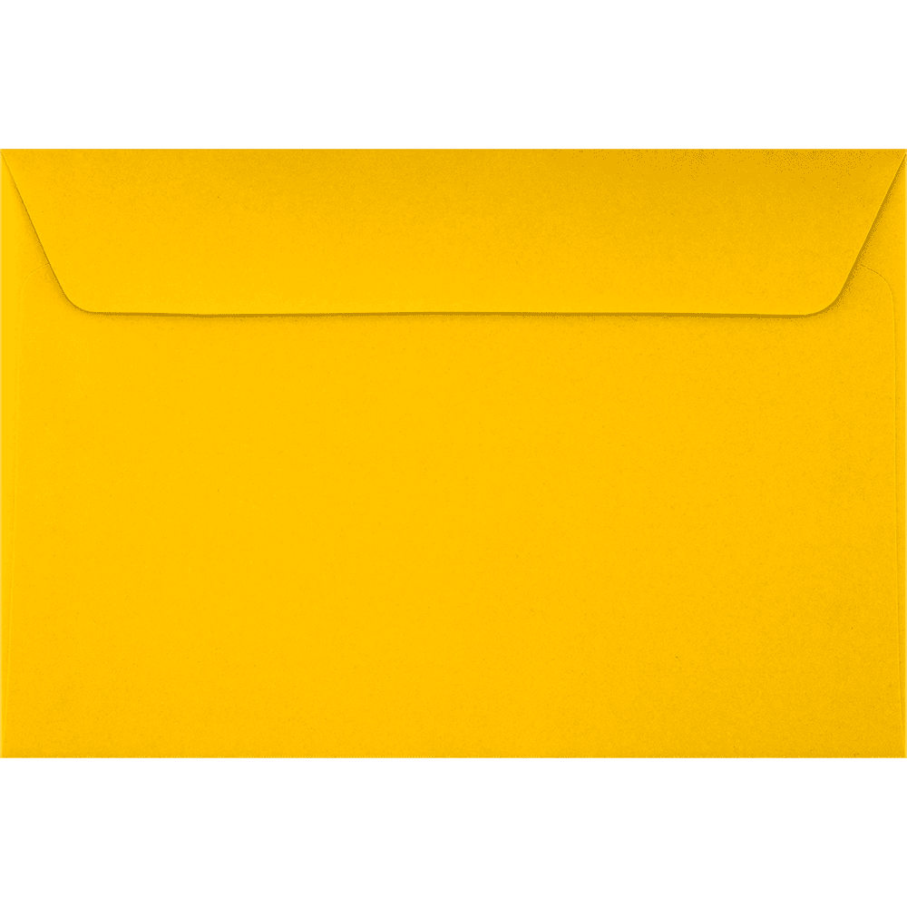 LUXPaper 6 x 9 Booklet Envelopes, Sunflower, 500/Pack