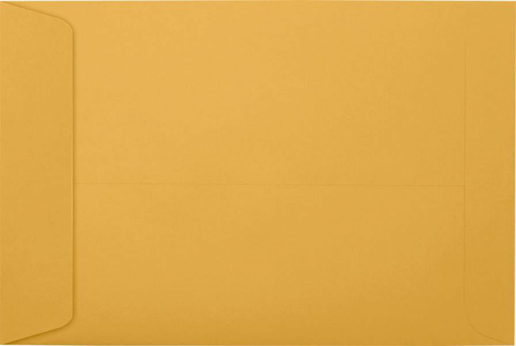 LUXPaper 6 x 9 Open End Envelopes, Brown Kraft, 250/Pack