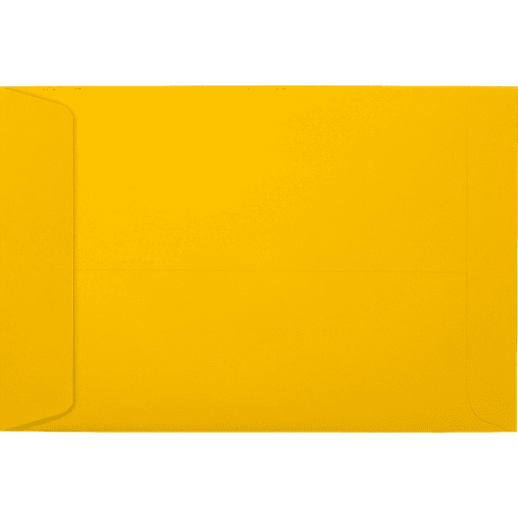 LUXPaper 6 x 9 Open End Envelopes, Sunflower, 50/Pack