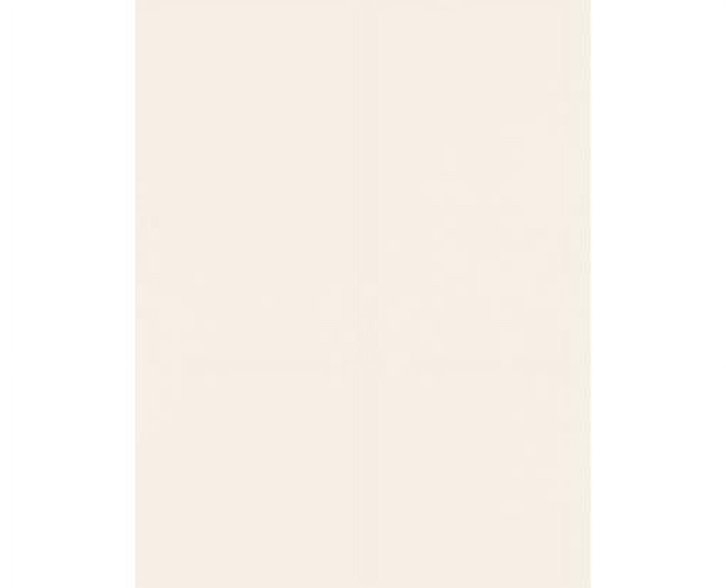 LUXPaper 8 1/2 x 11 Cardstock, 65 lb. Ivory, 1000/Pack