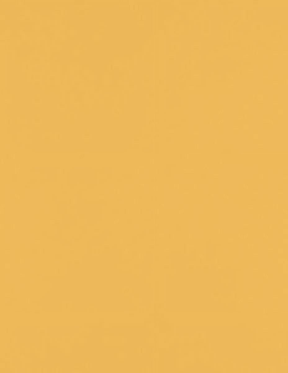 LUXPaper 8 1/2 x 11 Paper, Brown Kraft, 50/Pack