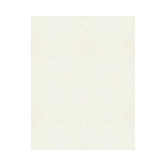 LUXPaper 8.5 x 11 Cardstock, 105 lb. Quartz Metallic Off White, 250/Pack