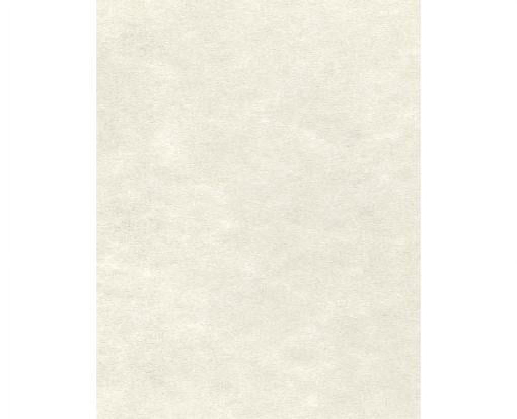 LUXPaper 8.5 x 11 Cardstock, 105 lb. White Crystal Metallic, 500/Pack