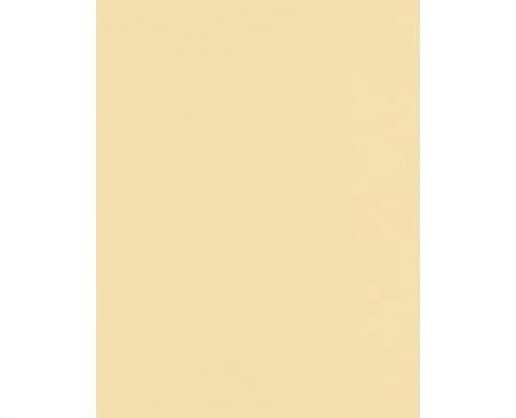LUXPaper 8.5 x 11 Cardstock, 110 lb. Nude, 50/Pack