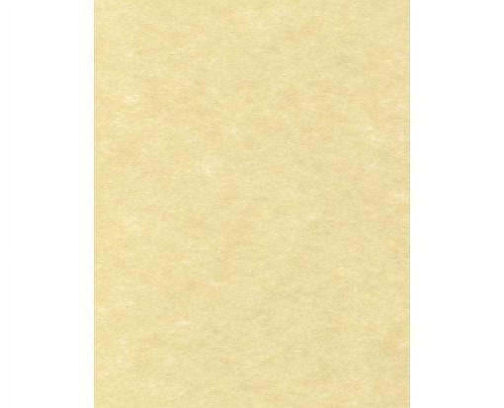 LUXPaper 8.5 x 11 Cardstock, 65 lb. Gold Parchment, 500/Pack