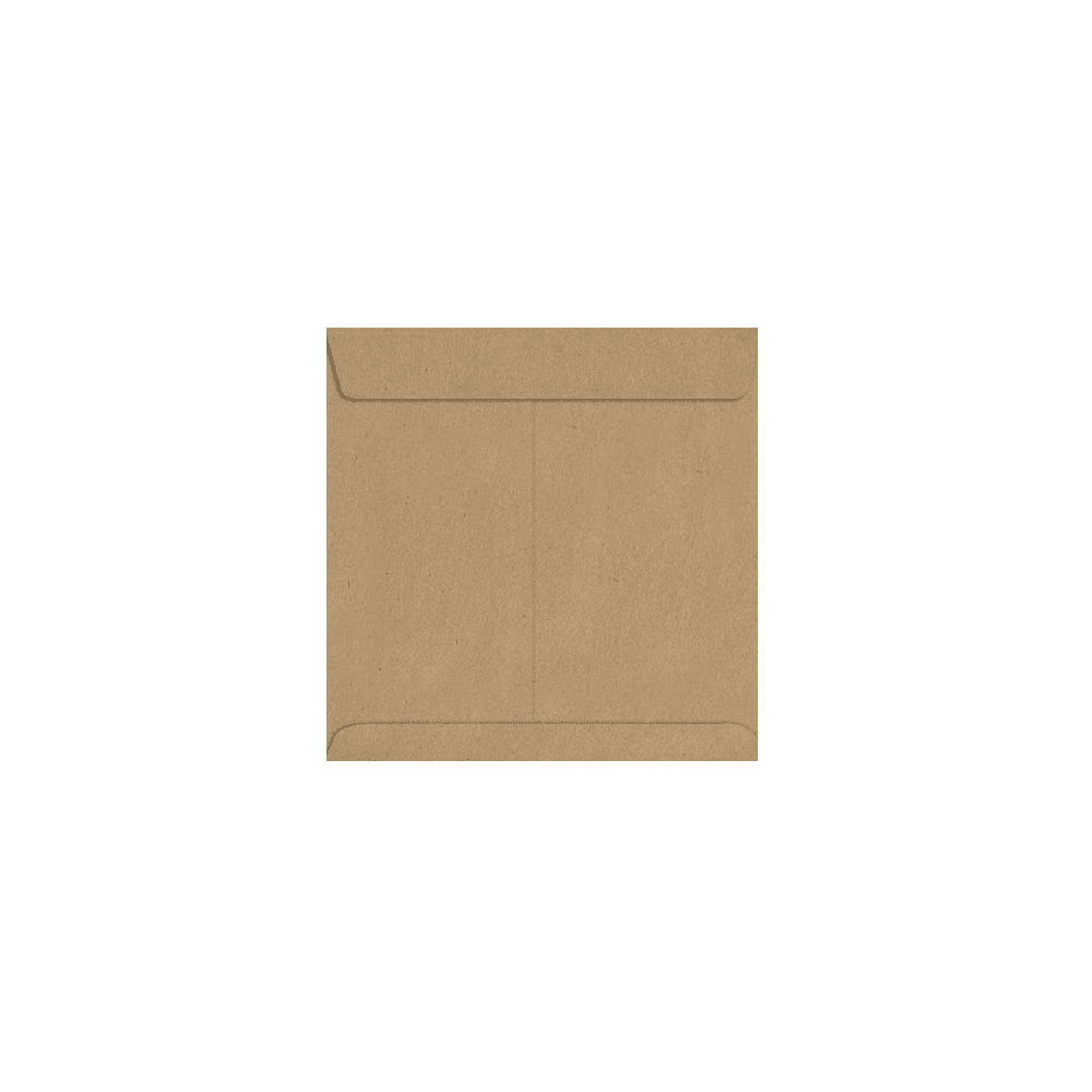 LUXPaper 8 x 8 Square Envelopes, Grocery Bag Brown, 50/Pack