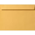 thumbnail image 1 of LUXPaper 9 x 12 Booklet Envelopes, Brown Kraft, 500/Pack, 1 of 1