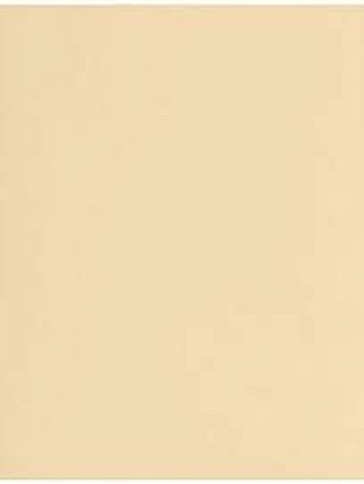 LUXPaper Cardstock, 8.5 x 11, 65lb Tan, 500/Pack