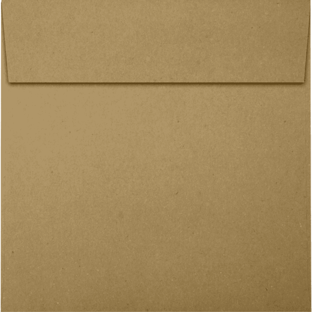 LUXPaper Square Peel & Press Invitation Envelopes, 5 1/2 x 5 1/2, Grocery Bag Brown, 250 Pack