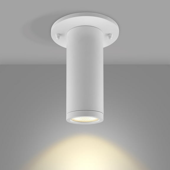 LUXRITE 2.5" LED Surface Mount Spotlight, 5CCT 2700K5000K, 1100 Lumens, 15W, CRI 90 Dimmable, 120-277V Wet Rated White