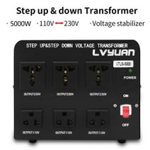 LVYUAN 5000 Watts Peak Voltage Converter Transformer Step Up/Down 110V to 220V / 220V to 110V