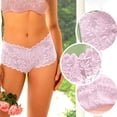 thumbnail image 1 of LWITHSZG Lace Underwear for Women See Through Mesh Briefs No Show Seamless Underpants Soft Stretch Breathable Ladies Panties S-XL, 1 of 6