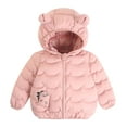 thumbnail image 1 of LWNYDPLSD Girl Fleece Jacket Kids Winter Coat Boys Puffer Jacket Girls 18 Month Snowsuit Toddler Shirts Boys 3t Girls Christmas Shirt Size 14-16 4-5t, Pink 12-18 Months, 1 of 6
