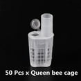 LXJNGSJ Design Queen King Cage Freemoving Insect Plastic Prisoner