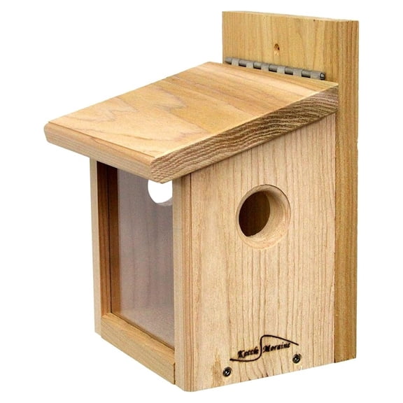 LXKJ Post Mount Bluebird Mealworm Feeder